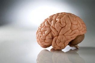 Життя у місті руйнує мозок