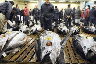 Гігантського тунця продали за рекордні 400 тисяч доларів