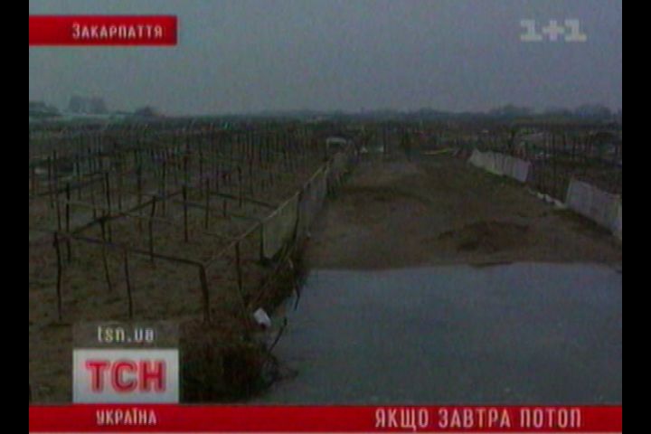 ттт_7