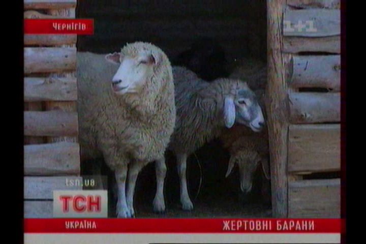 ттт_10