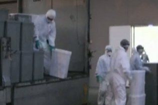 После вспышки птичьего гриппа в Японии будут уничтожены сотни тысяч кур