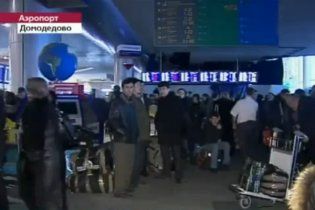 На месте взрыва в "Домодедово" нашли голову террориста-смертника