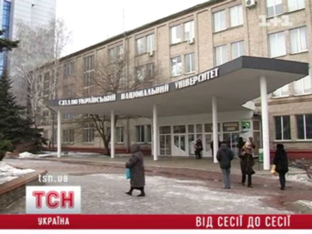 tsn_10