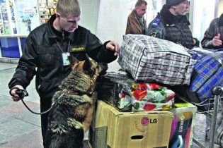 Сотрудники аэропорта "Борисполь": у нас может повториться "Домодедово"