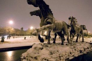 В мексиканском зоопарке насмерть замерзли 35 животных