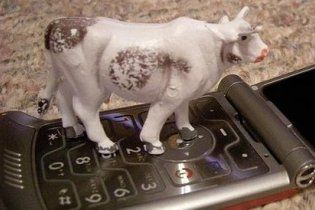 Коровы будут отправлять SMS и e-mail своим хозяевам