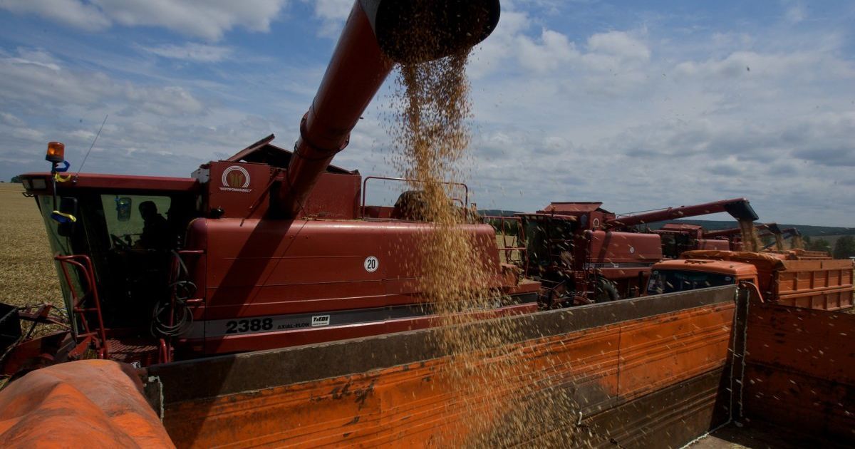 НАБУ вернуло госпредприятиям 34 млн грн, украденных зерновыми коррупционерами