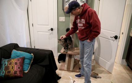 Красиво жить не запретишь: мужчина арендовал квартиру для кошек за 1,5 тысячи долларов