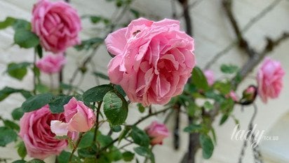 Гороскоп на 11 июля