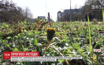 Карпаты и Запад страны накрывает снегом, а в Херсоне цветет одуванчик: какими межсезонными аномалиями встретила зима украинцев