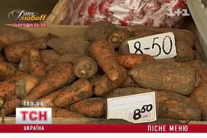стн_5