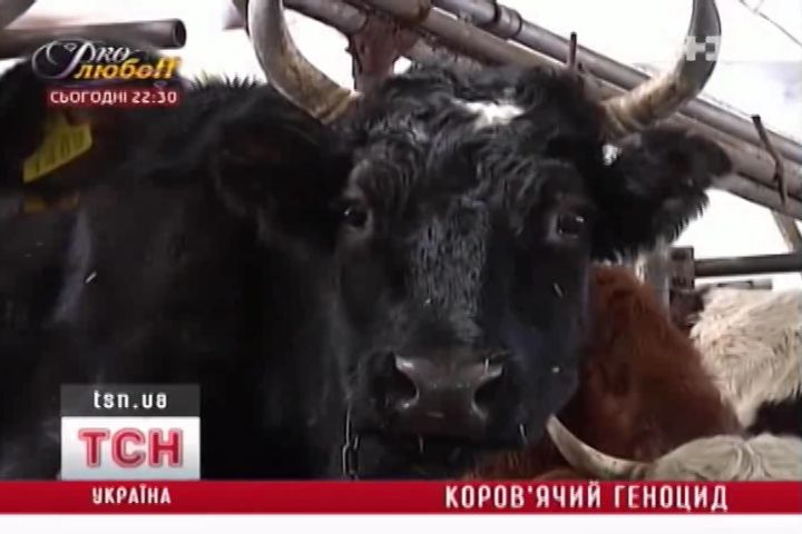 стн_8