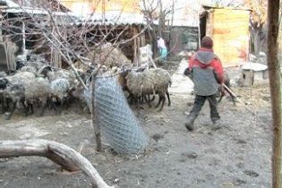 На Харківщині чоловік змушував 10-річного небожа працювати по 15 годин на день