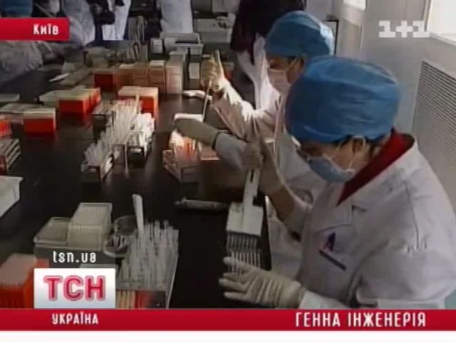 tsn_10