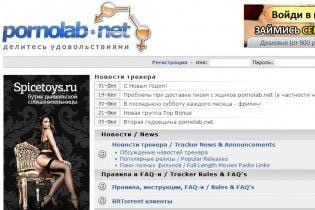 Раскрытый в Киеве крупнейший порносайт продолжает работать