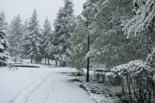 Румынию засыпало снегом