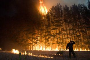 Площа пожеж в Росії в порівнянні з 2010 роком збільшилася втричі