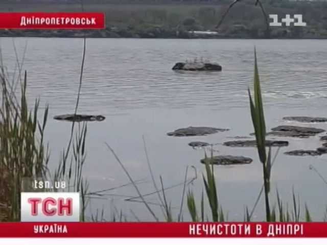tsn_4