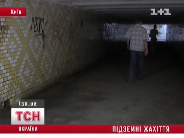 tsn_12