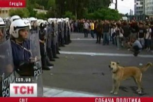 В Греции на антиправительственные акции протеста вышли собаки