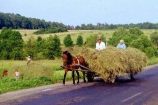 Ежегодно в Украине исчезает 15 сел