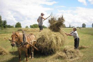 Українські селяни більше не прагнуть переїжджати до міст