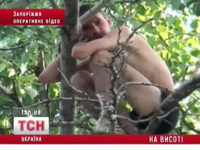 tsn_8