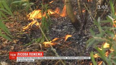 Вблизи Луцка огонь охватил более гектара сухостоя и деревьев