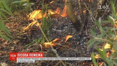 Вблизи Луцка огонь охватил более гектара сухостоя и деревьев