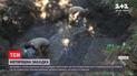 Винницкие исследователи нашли военное кладбище, где могут быть похоронены воины УНР и Галицкой армии