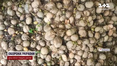 Спасали друг друга: за считанные минуты в подвале с картофелем погибли четыре человека