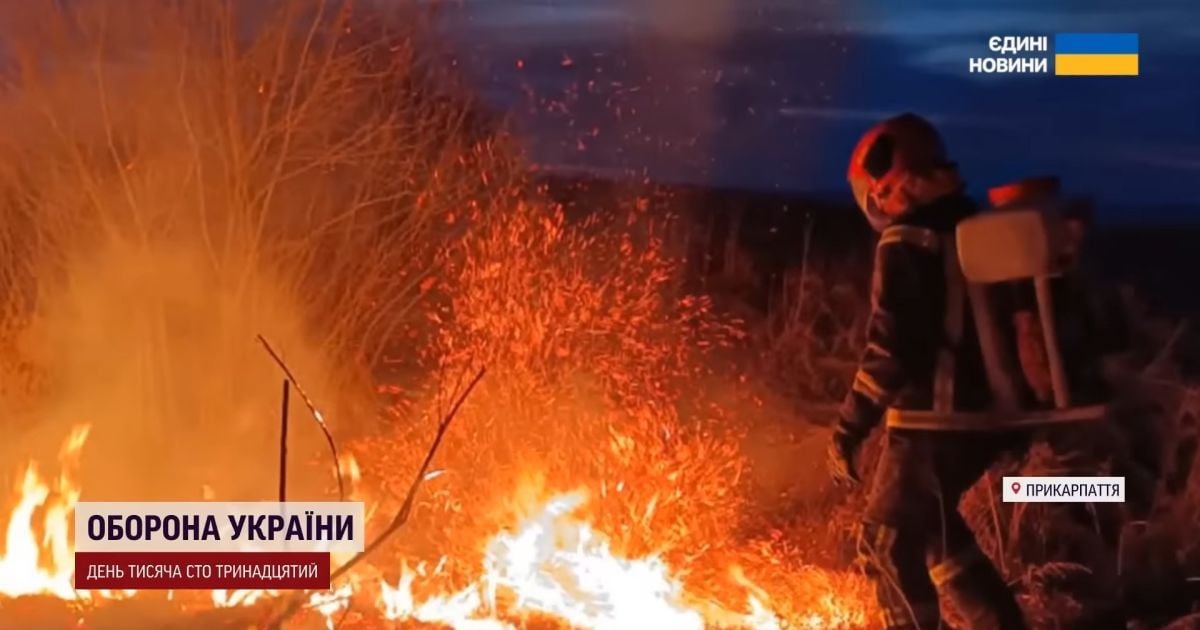 Пожежі в екосистемах / Скриншот із відео ТСН