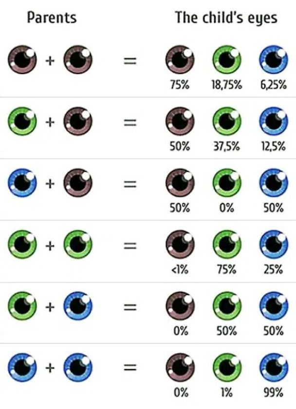 Який колір очей буде у дитини/Фото: fertility-docs.com / © 
