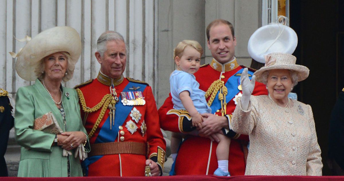 Топ-7 позитивных новостей недели: пингвин-герой, милый осьминог и родственные души