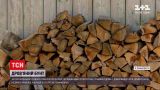 Новости Украины: на Прикарпатье из-за отсутствия дров назревает бунт