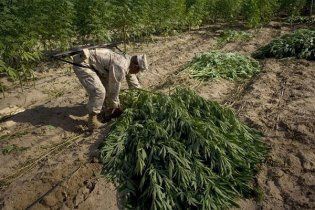 Наркоманы составляют 3% населения Земли