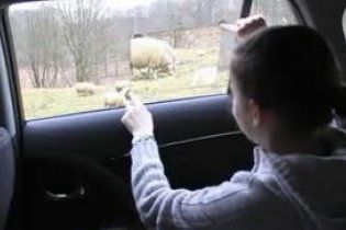 Учені перетворили скло автомобіля на тачскрін