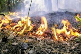 В Україні оголошено надзвичайну пожежну небезпеку