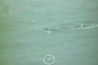 З дна Карибського моря підняли 7,5 тонн кокаїну