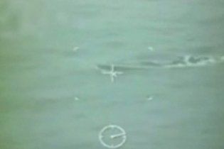 Со дна Карибского моря подняли 7,5 тонн кокаина