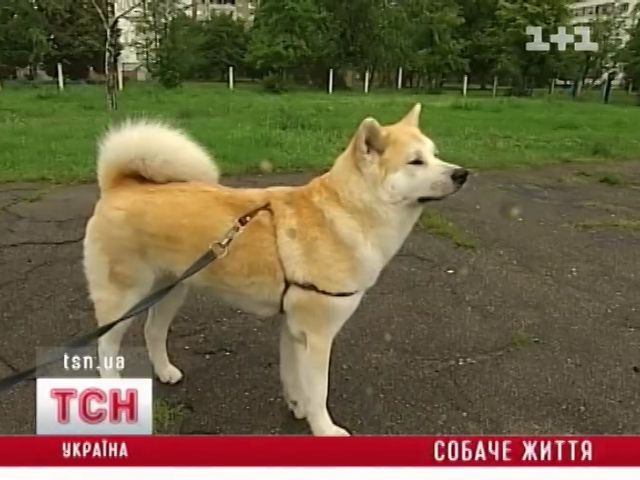 tsn_15