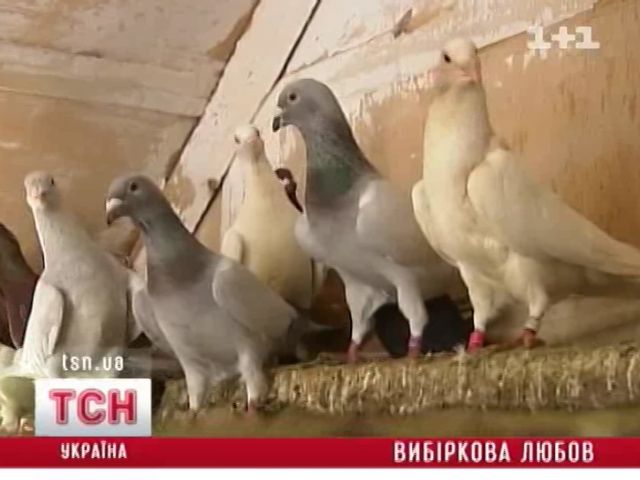 tsn_10