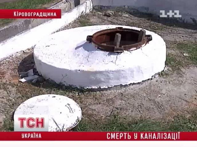 tsn_6