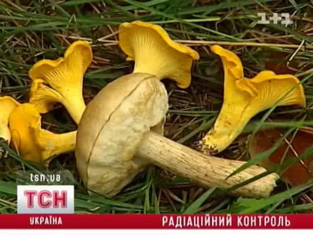 tsn_11