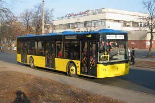 Через інсульт водія автобус с пасажирами врізався в дерево