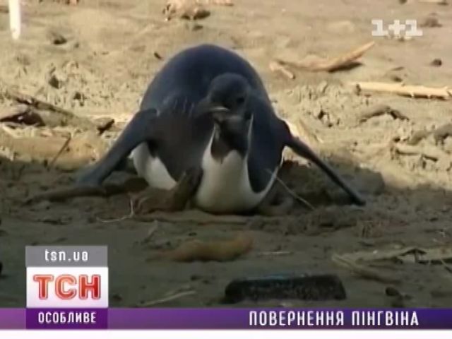tsn_5