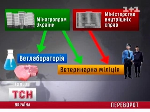 tsn_10