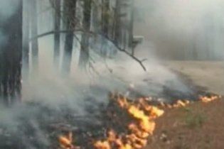 В Техасе от лесных пожаров сгорело уже около 500 жилых домов