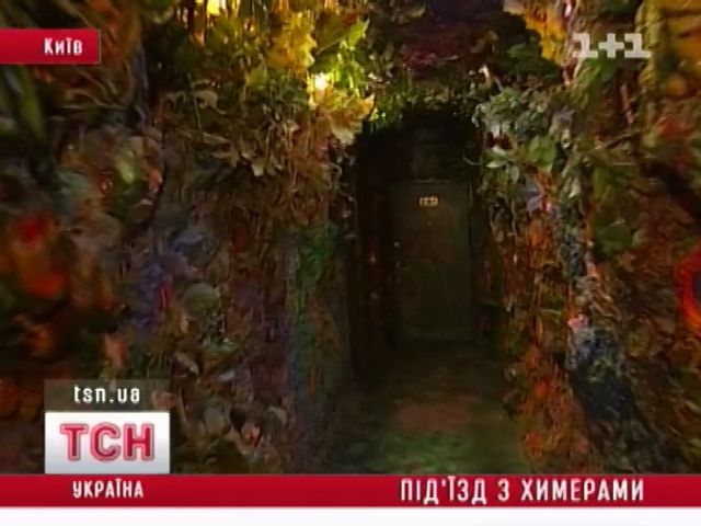 tsn_17