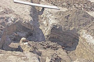 Під час реконструкції стадіону у Дніпрі знайшли кістки 20 тисяч людей